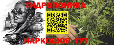 Альфа ПВП Рузаевка
