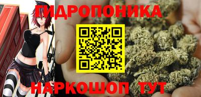 стафф Рязань