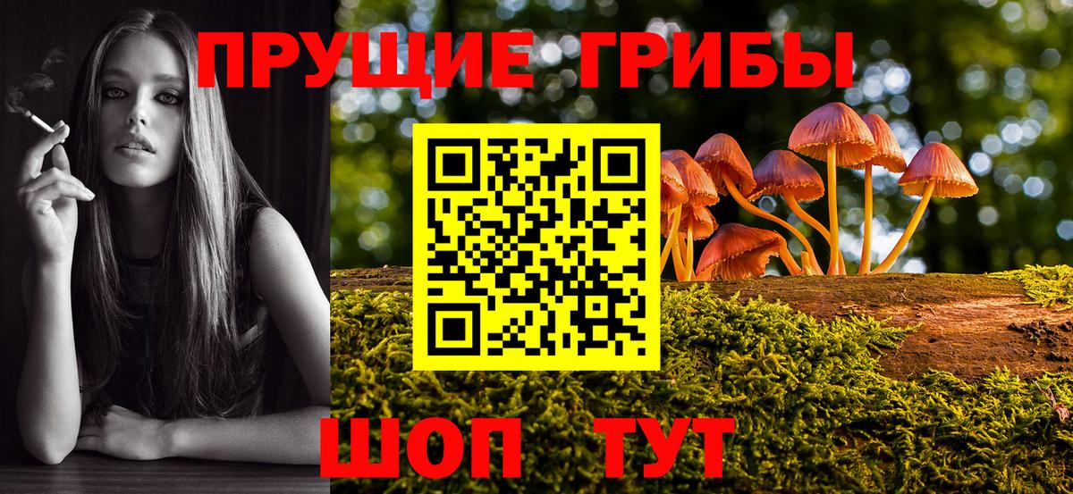 Псилоцибиновые грибы MAGIC MUSHROOMS  Псилоцибиновые грибы мухоморы  Октябрьский  Вход с VPN 