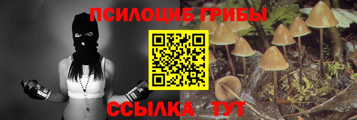 Галлюциногенные грибы мицелий Октябрьский